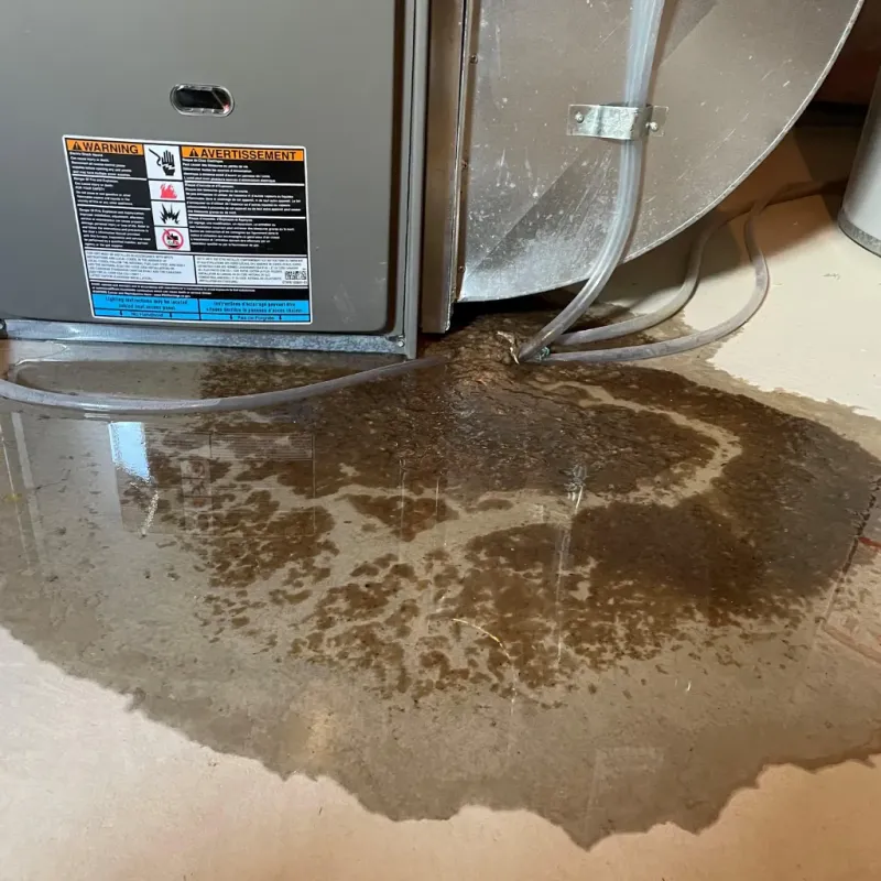 Appliance Leak Cleanup in Pipestone, MN