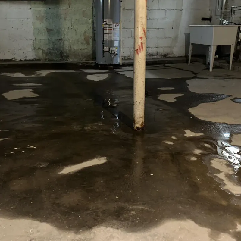 Emergency Water Extraction And Removal in Pipestone, MN